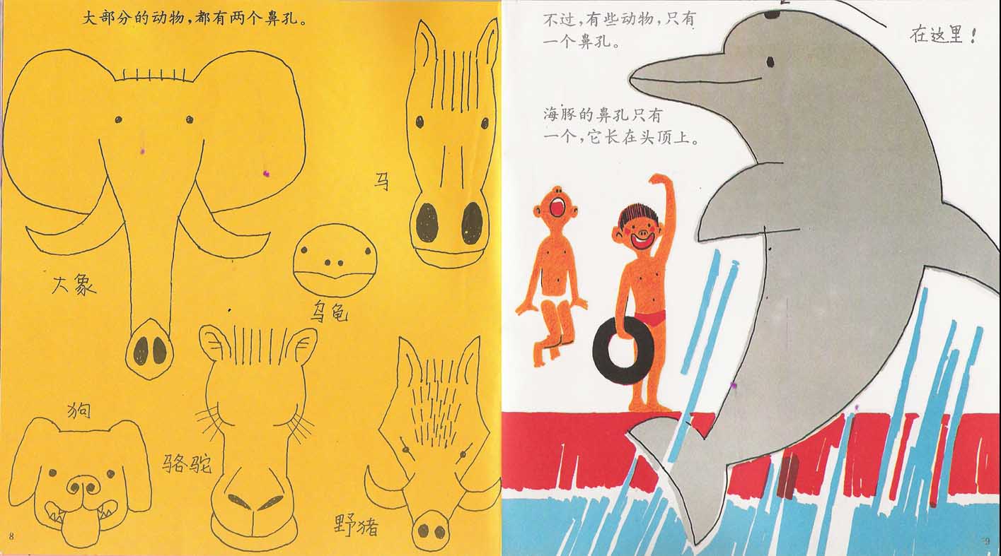 鼻孔的故事 (06),绘本,绘本故事,绘本阅读,故事书,童书,图画书,课外阅读